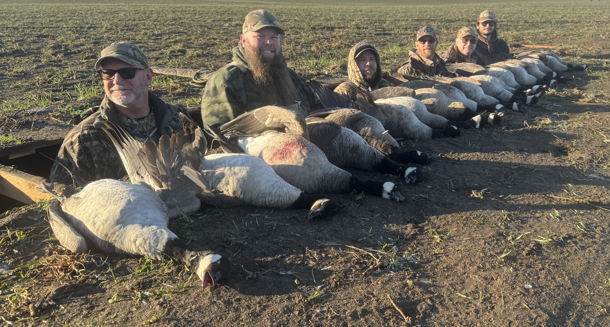 tempImageOp7lCE.png