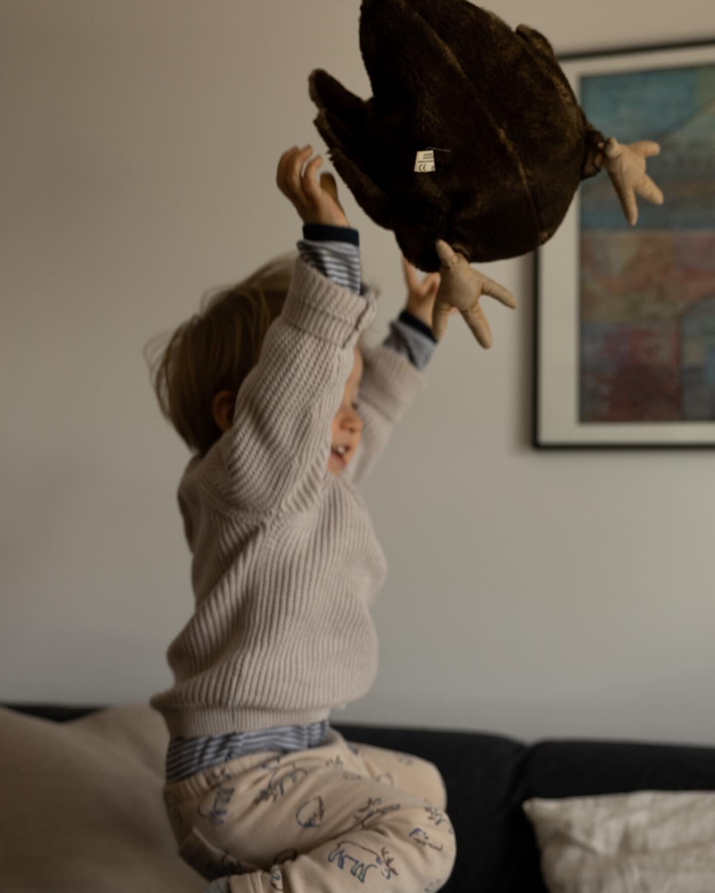 Darf ich Martha vorstellen, Martha das Huhn.

#dokumentarischefamilienreportage #familienreportage #familienalltag #familienfotografinstuttgart #familyphotography #lookslikefilmkids #childhoodunplugged