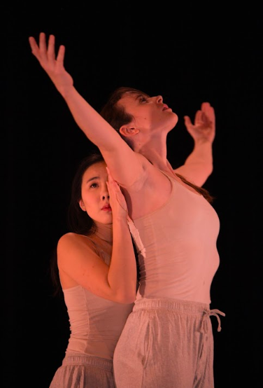 Where The Wings Grow