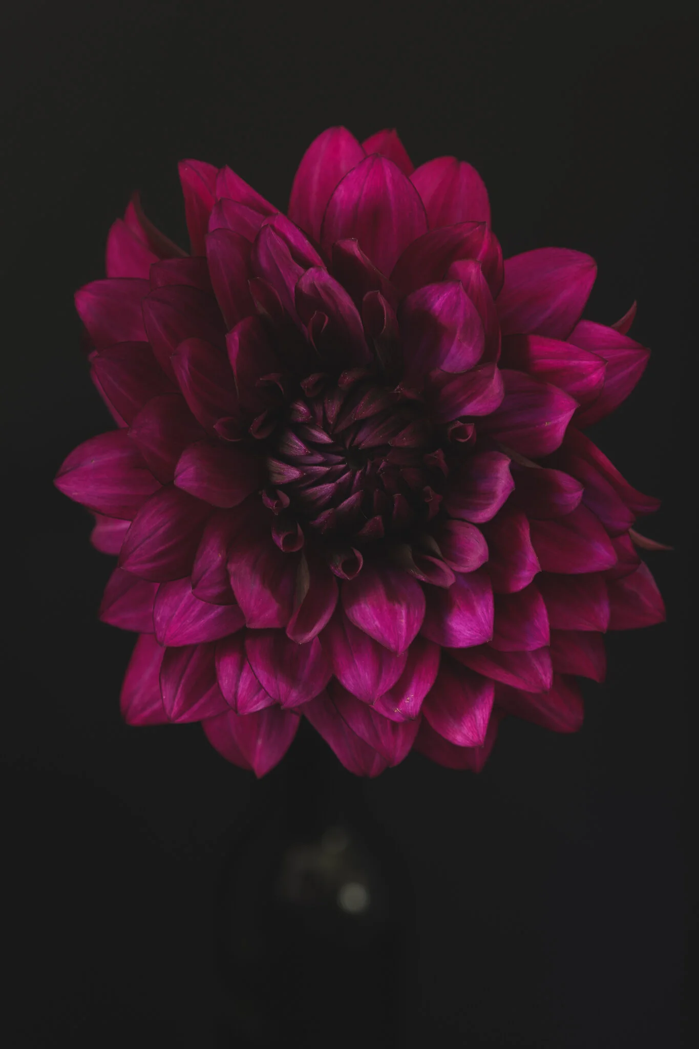 Beauty From Isolation