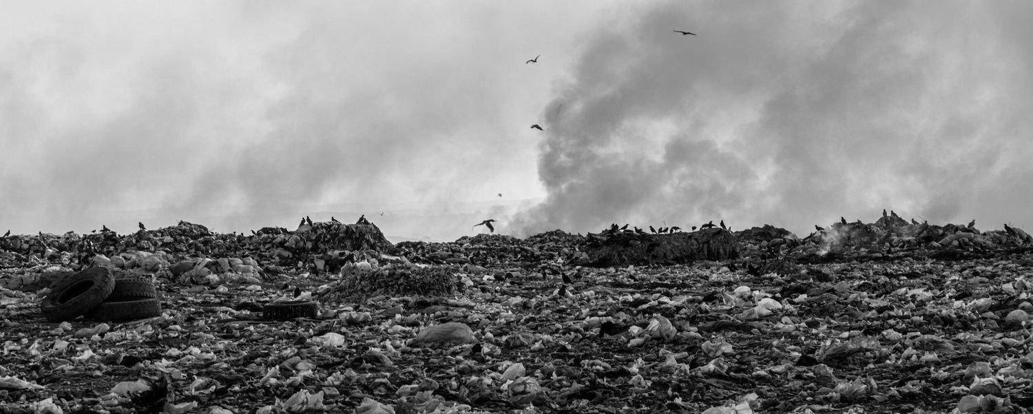 Revolutionizing Sustainability in The Water Softener Salt Delivery