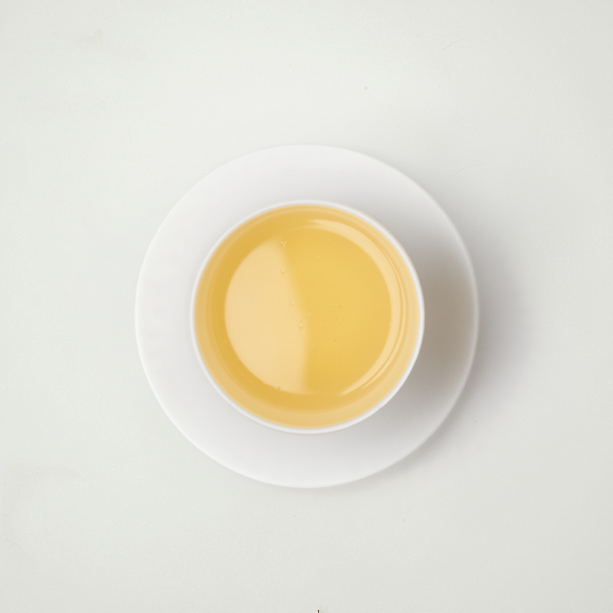 WS-liq.png