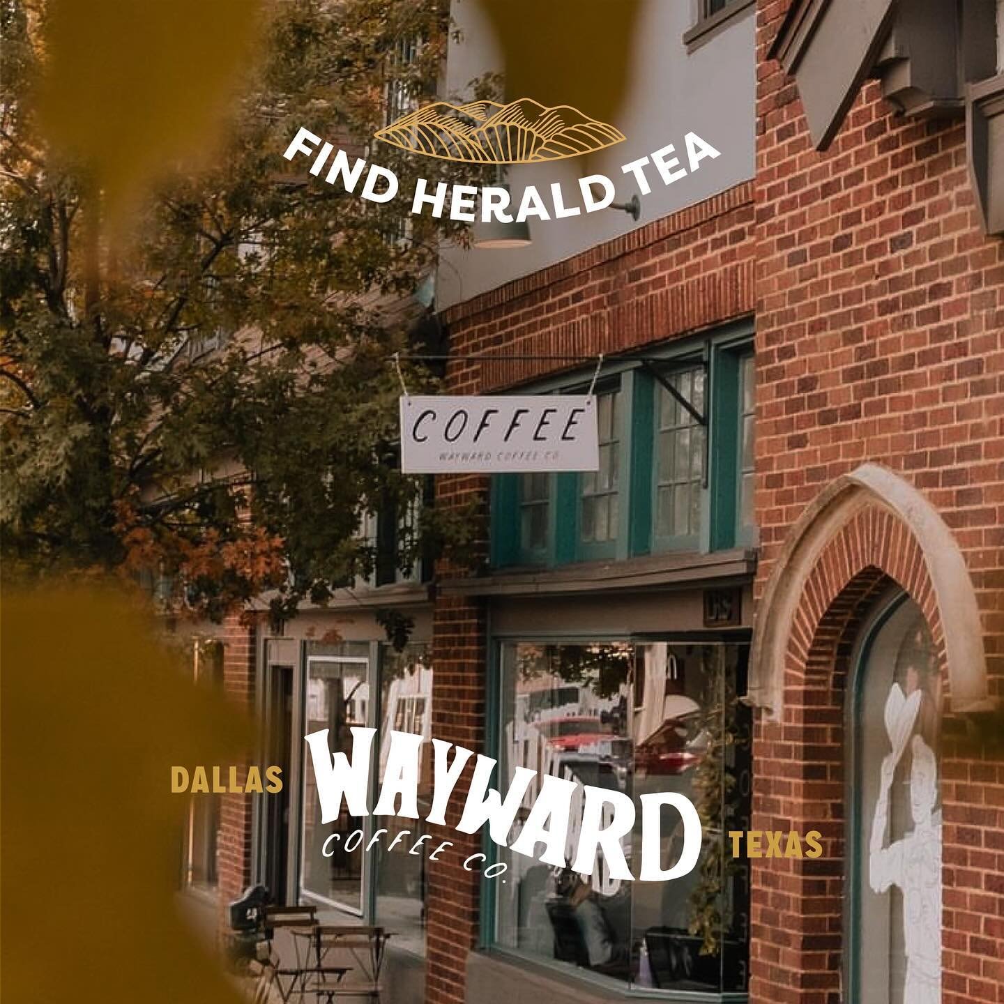 Great news! You can find Herald Tea at @waywardcoffeeco and we couldn&rsquo;t be more stoked to have them rocking it. Be sure to head into either of their 2 beautiful shops in Dallas and experience the way these creative folks highlight incredible co