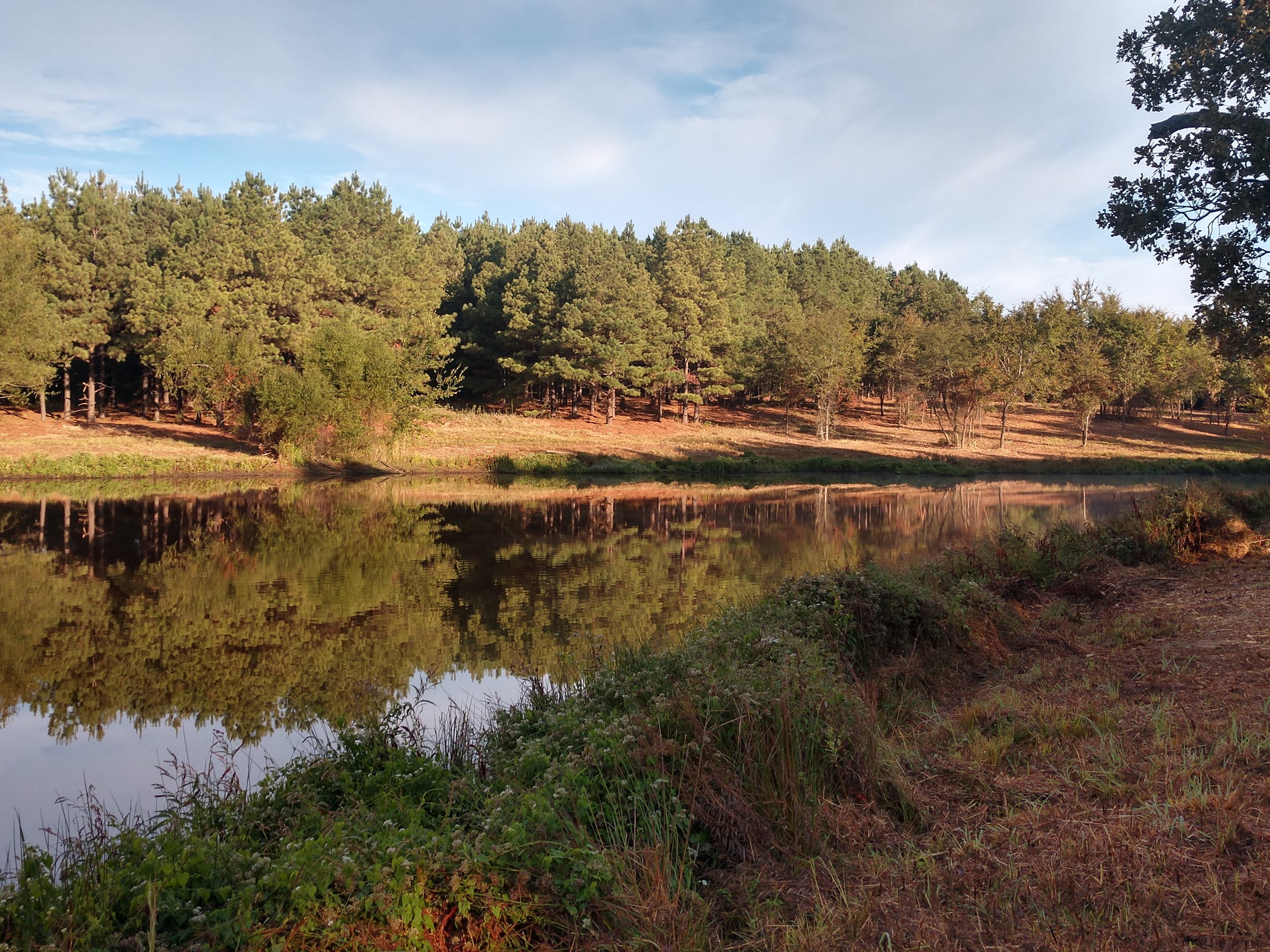  Runaway Ranches Ltd. Offers   Residential Acreage Homesites   in Beautiful East Texas 