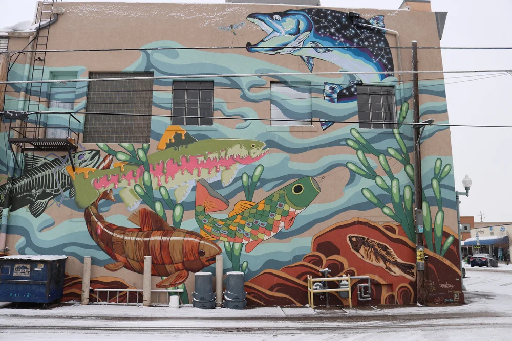 Fig 2 - Gill Street .jpeg