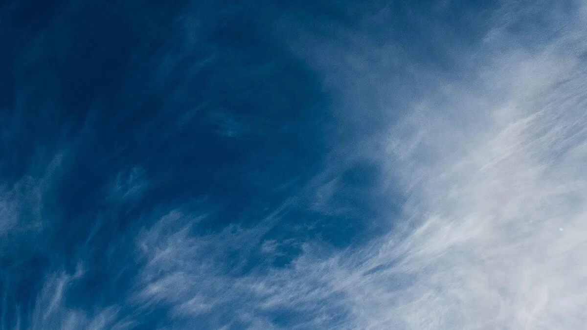 Let Your Attention Wander