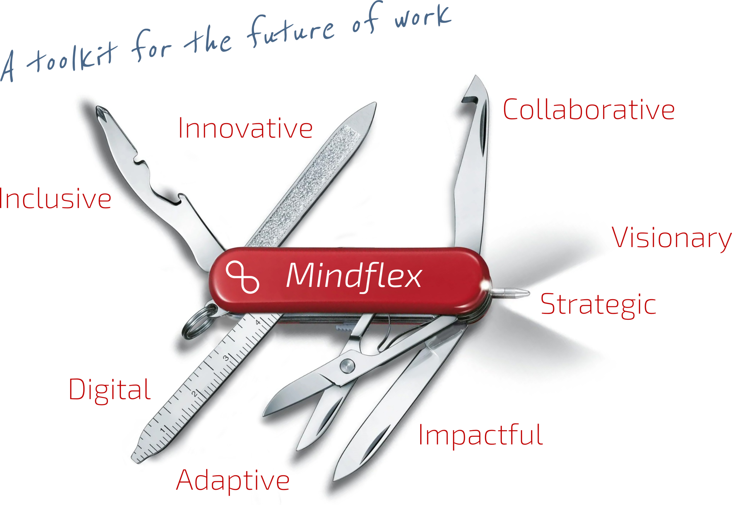 Leading In Complex World