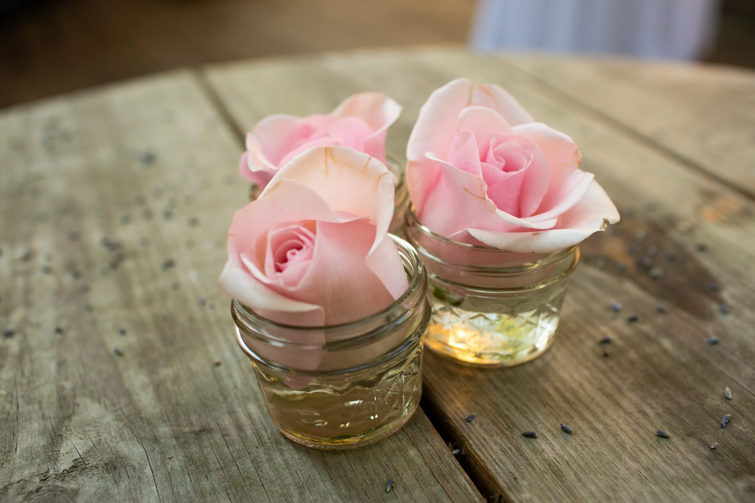 dan+floriewed_1365.jpg