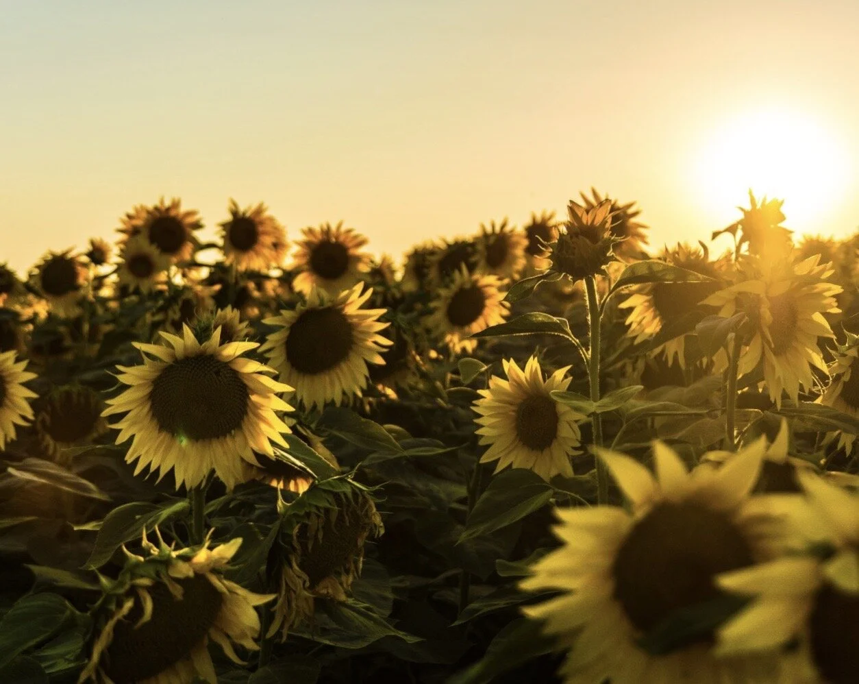 Positive Energy Guided Meditation with Sara