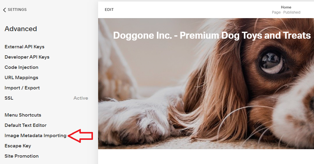 How to Enable Image Exif Data on Squarespace