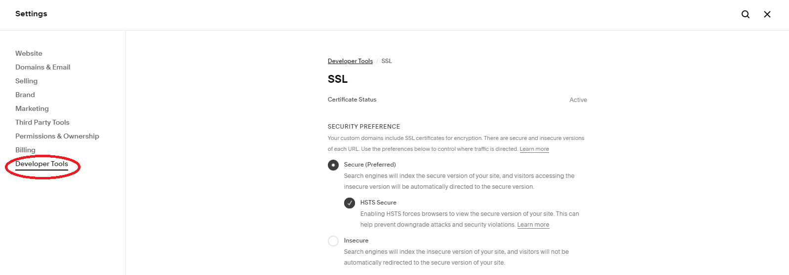 Developer tools setting in Squarespace