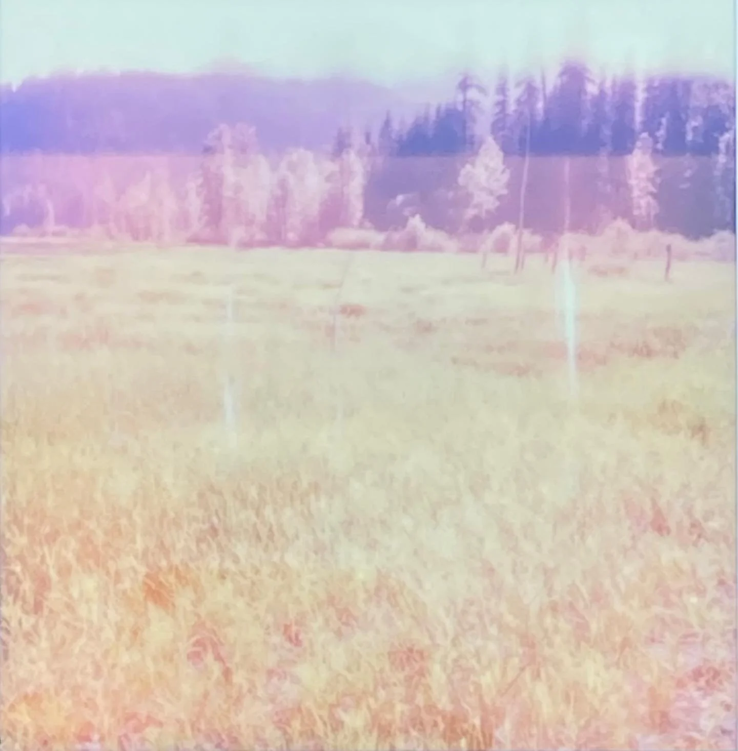 The IG88 account is no longer with us, but I still am.