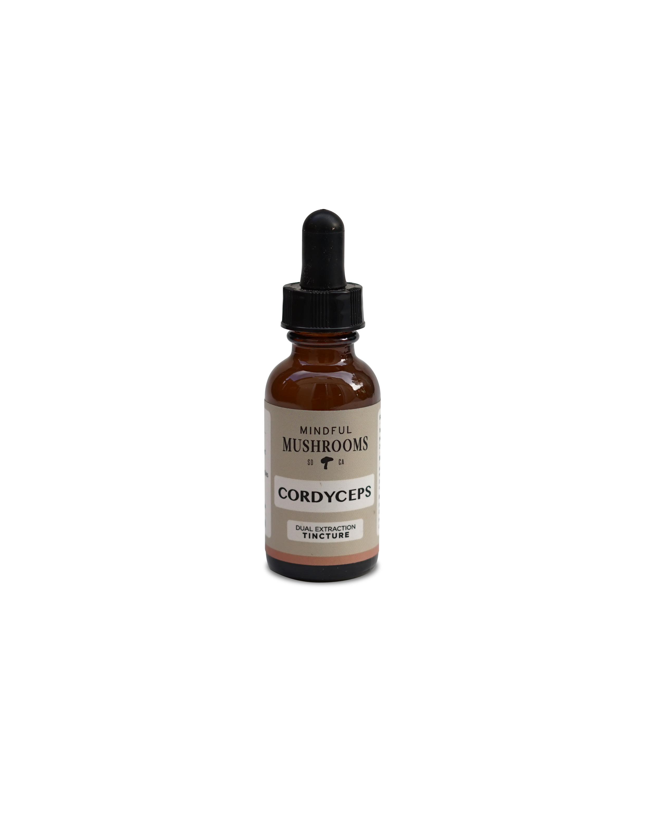 Cordyceps Tincture