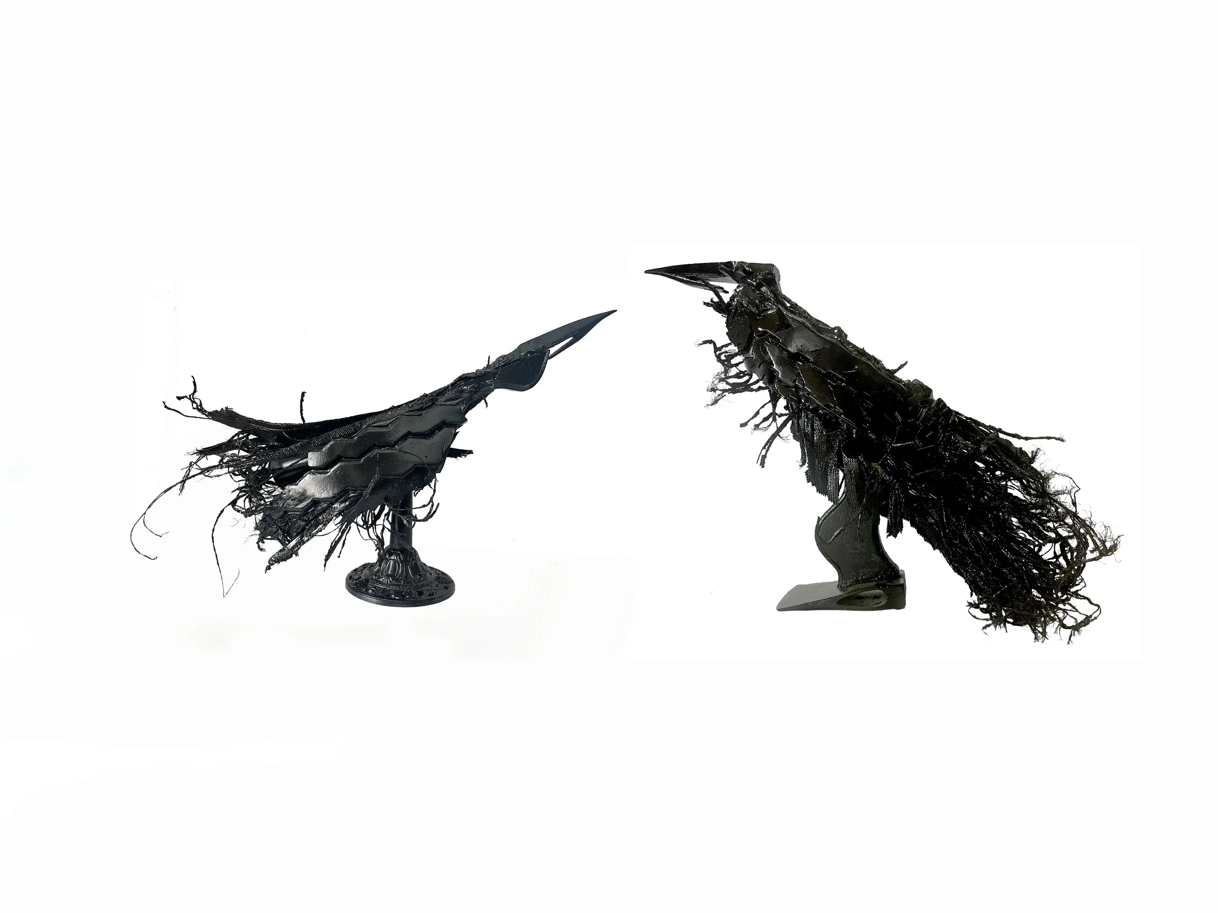 Crows.jpg