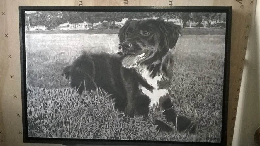 amy's dog