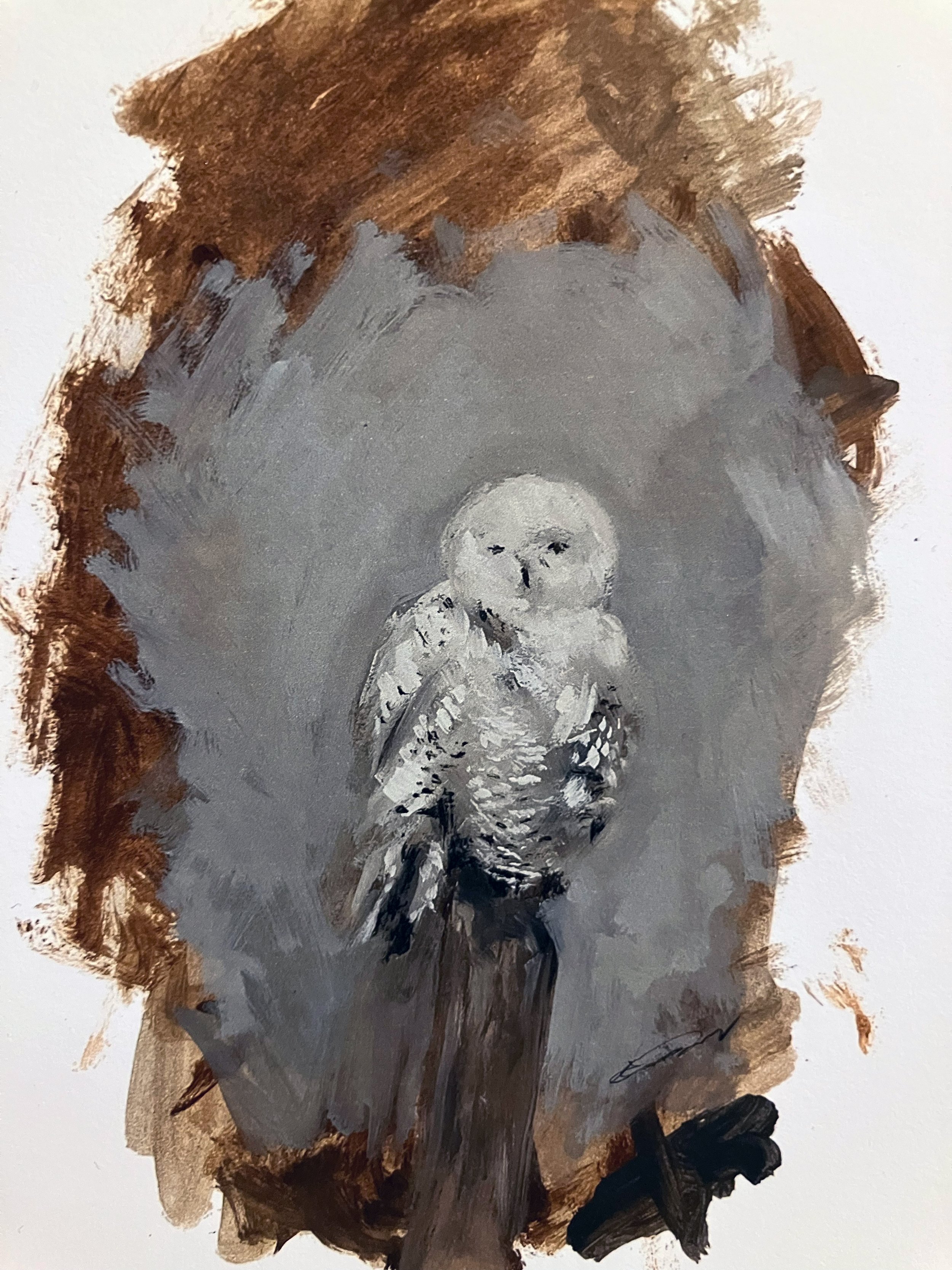 Owl (Print)