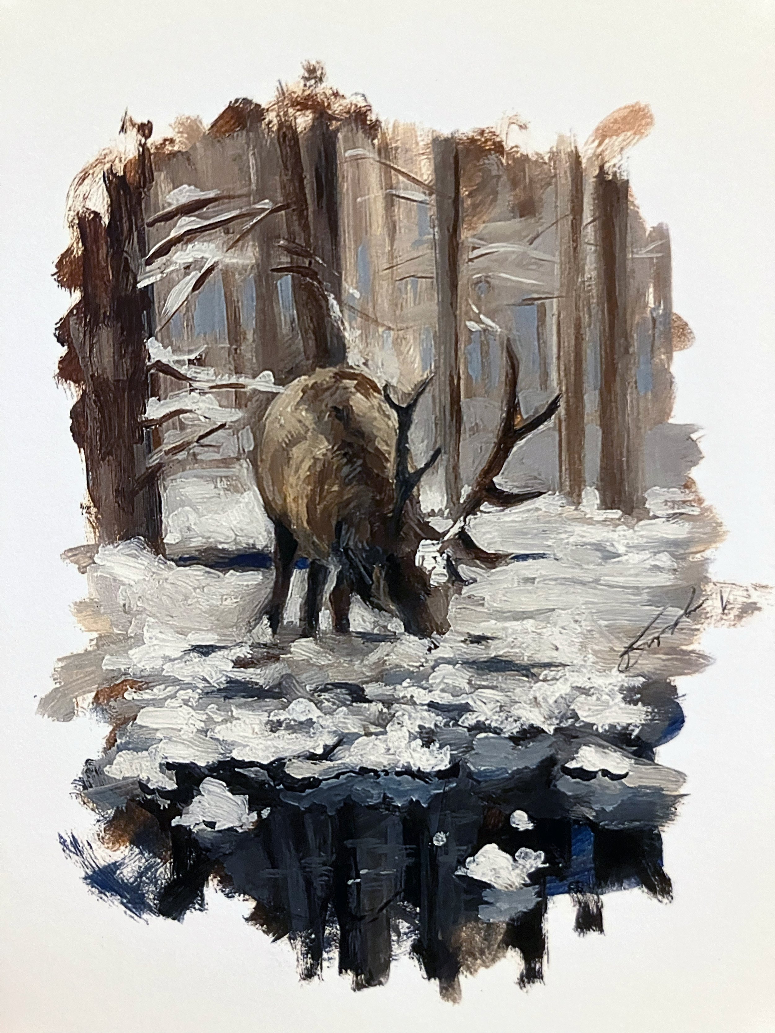 Elk (Print)