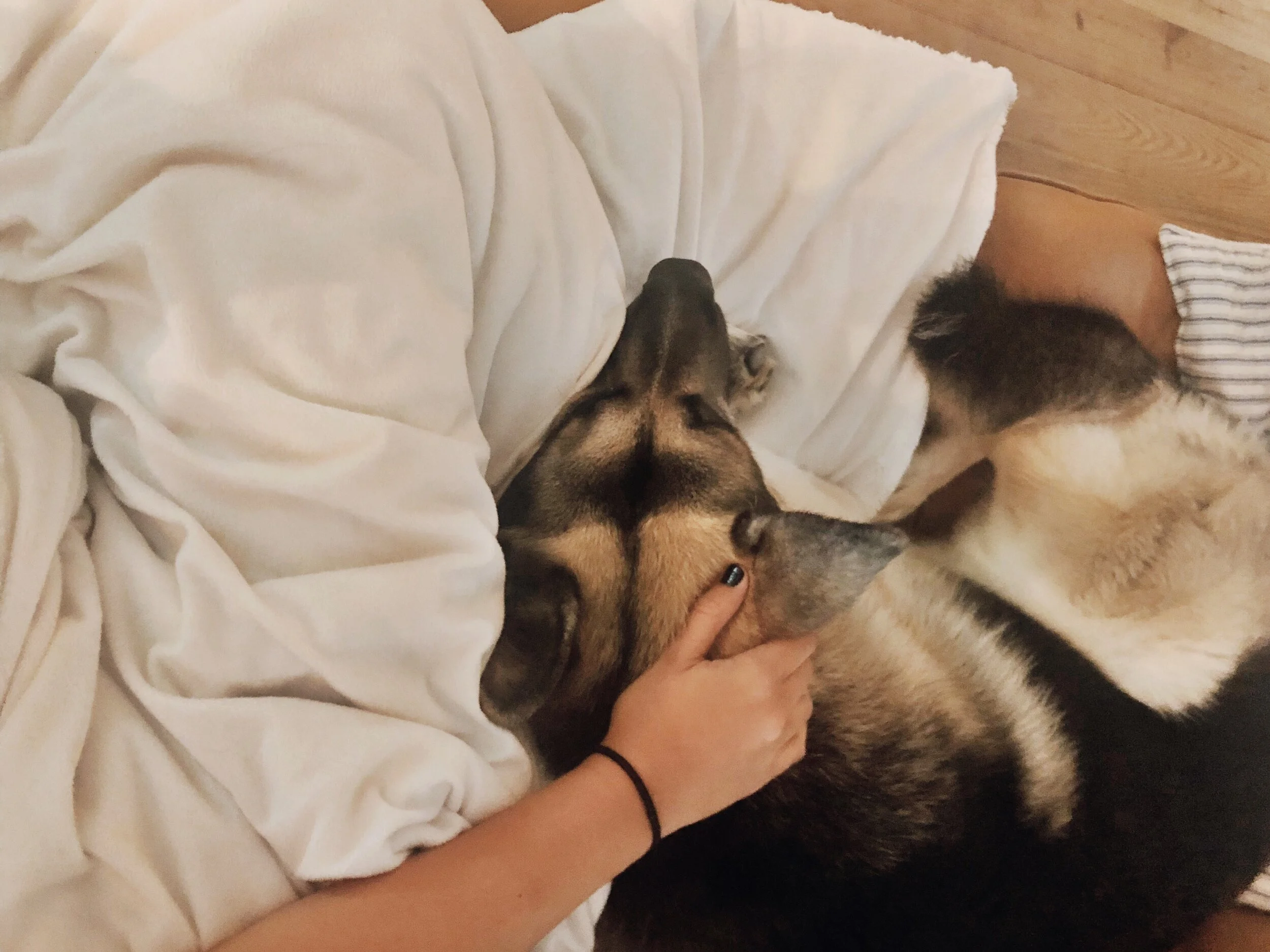 At My Momma’s House