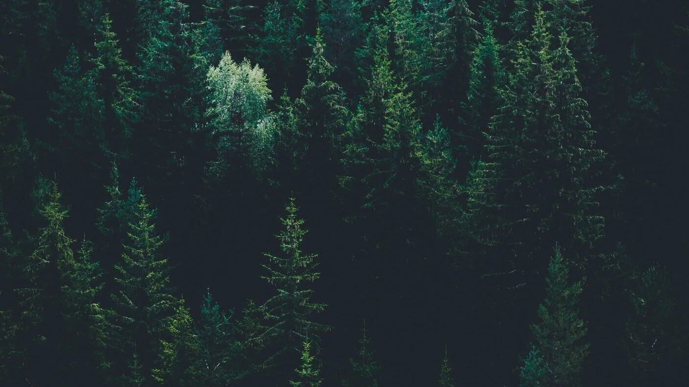 Facing your inner brokenness Pt. 1