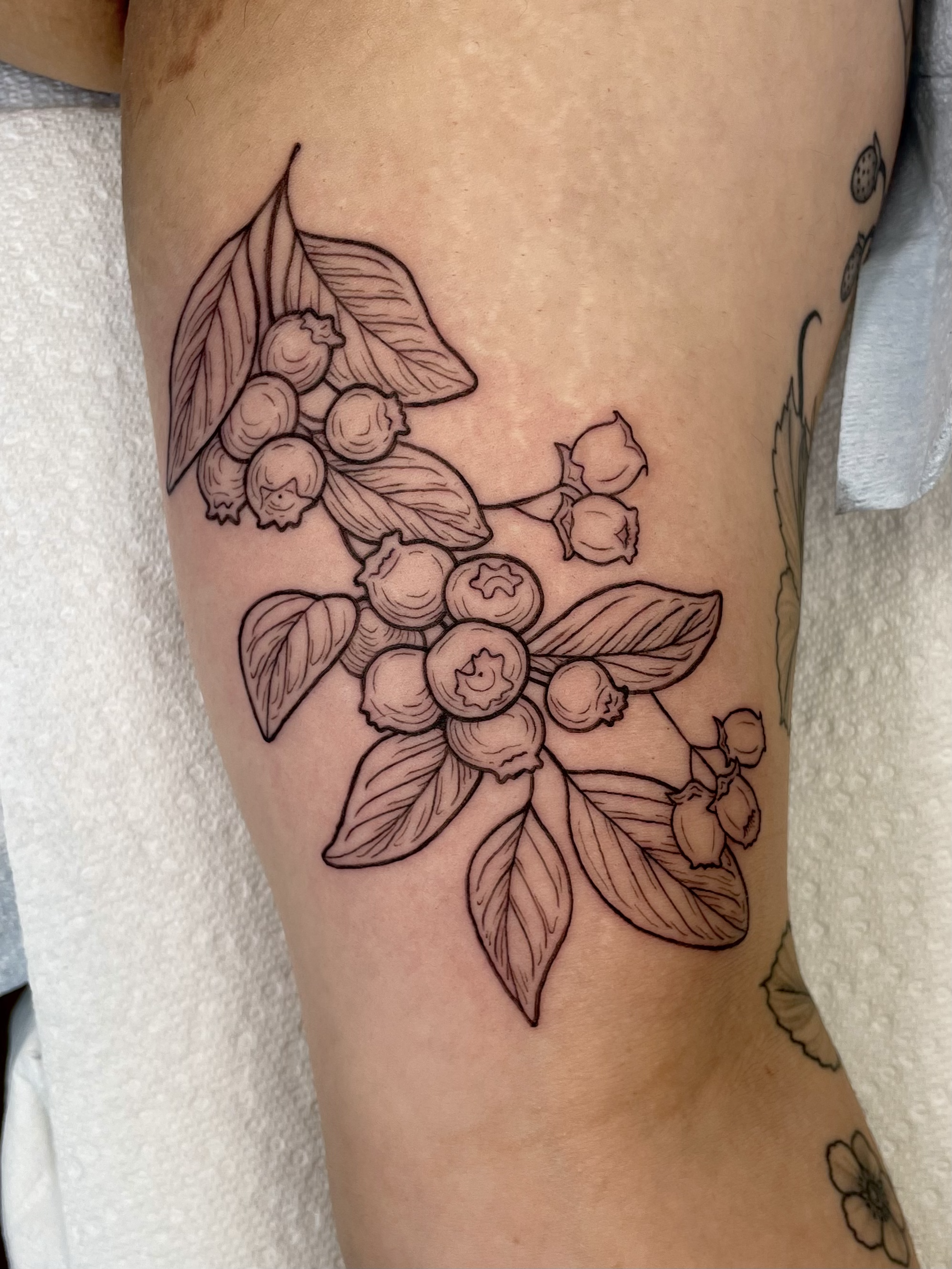 BeckyWaterhouse_Tattoo_Blueberries_IMG_3725.png