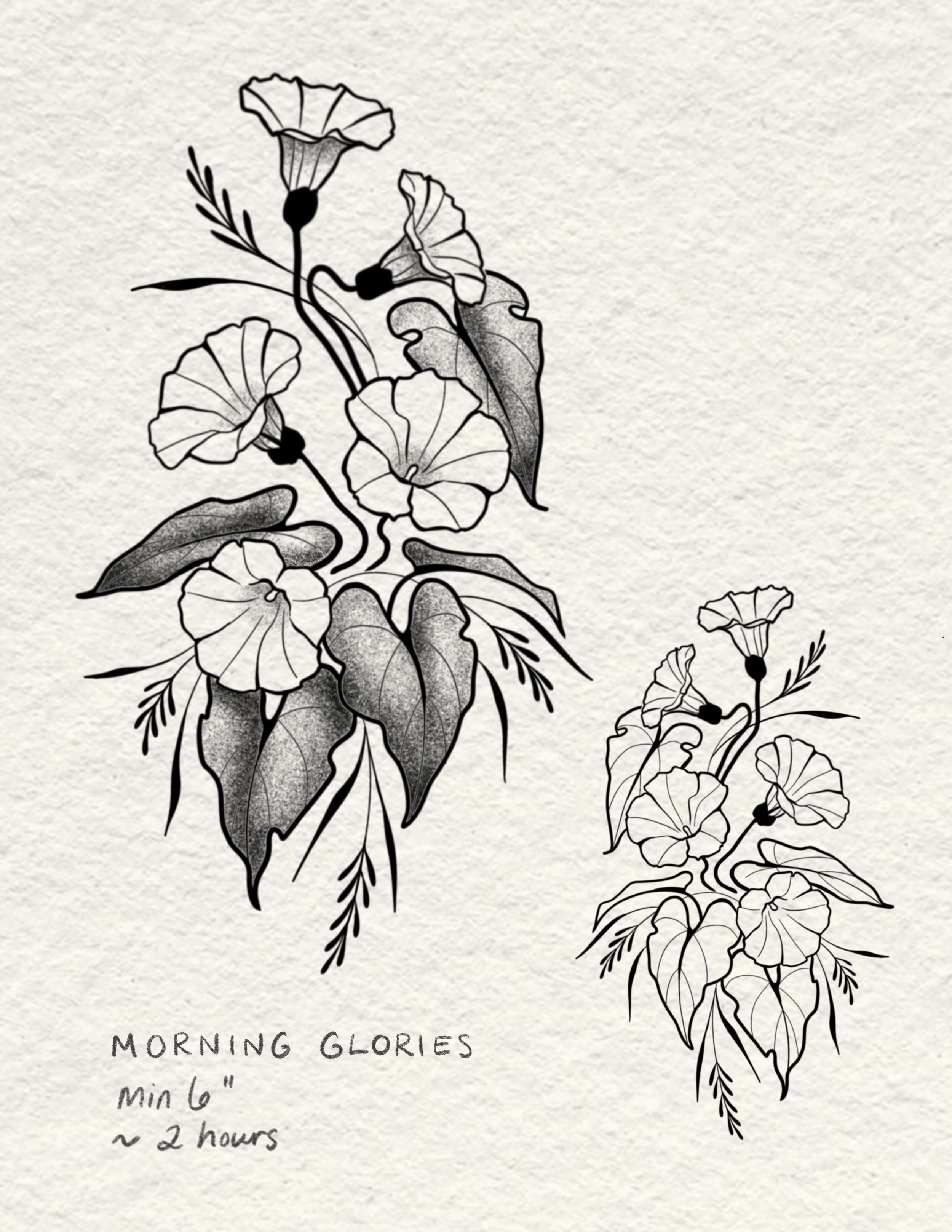 IMG_3423.png