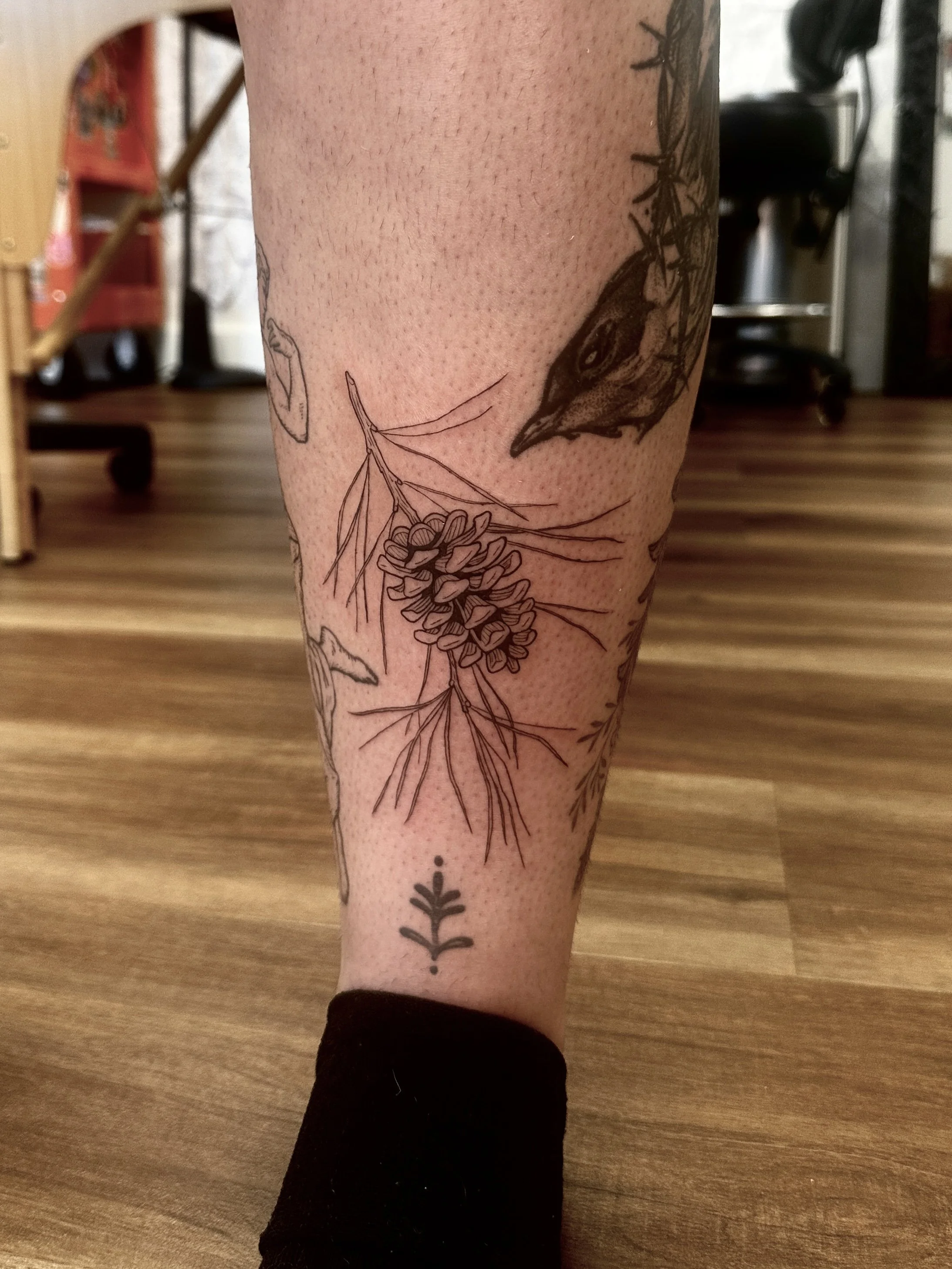 BeckyWaterhouse_Tattoo_pinecone_IMG_1260.jpg