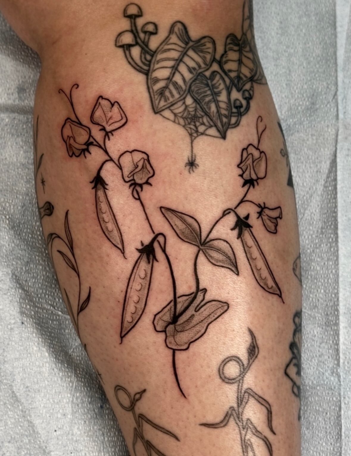 BeckyWaterhouse_Tattoo_sweet-peas_116D6.JPG