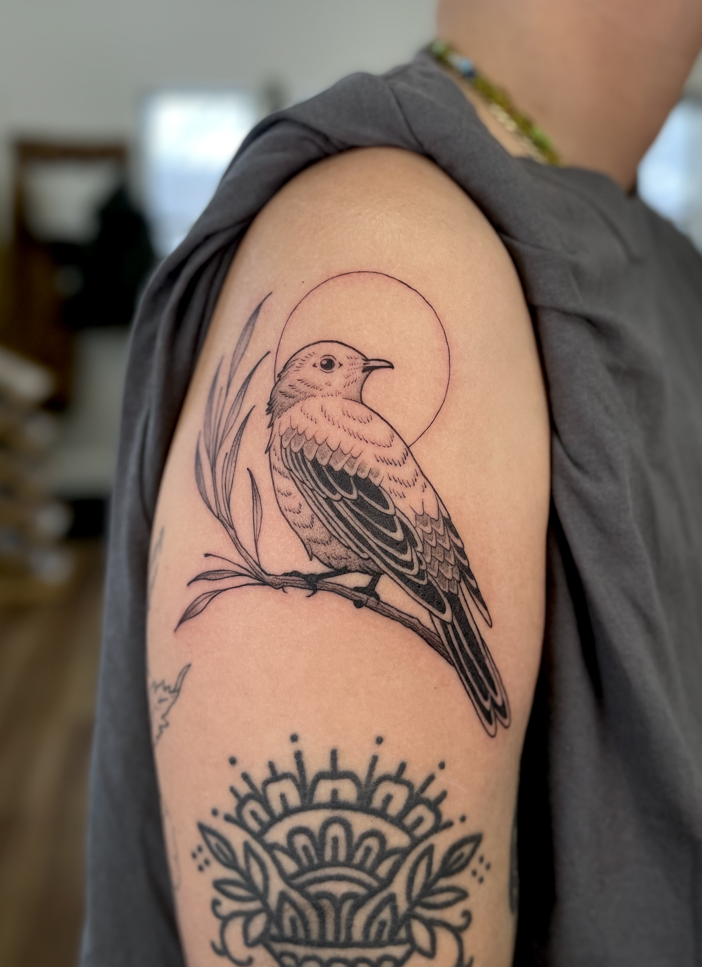 BeckyWaterhouse_Tattoo_Bird_Townsend-Solitaire_IMG_3291.png
