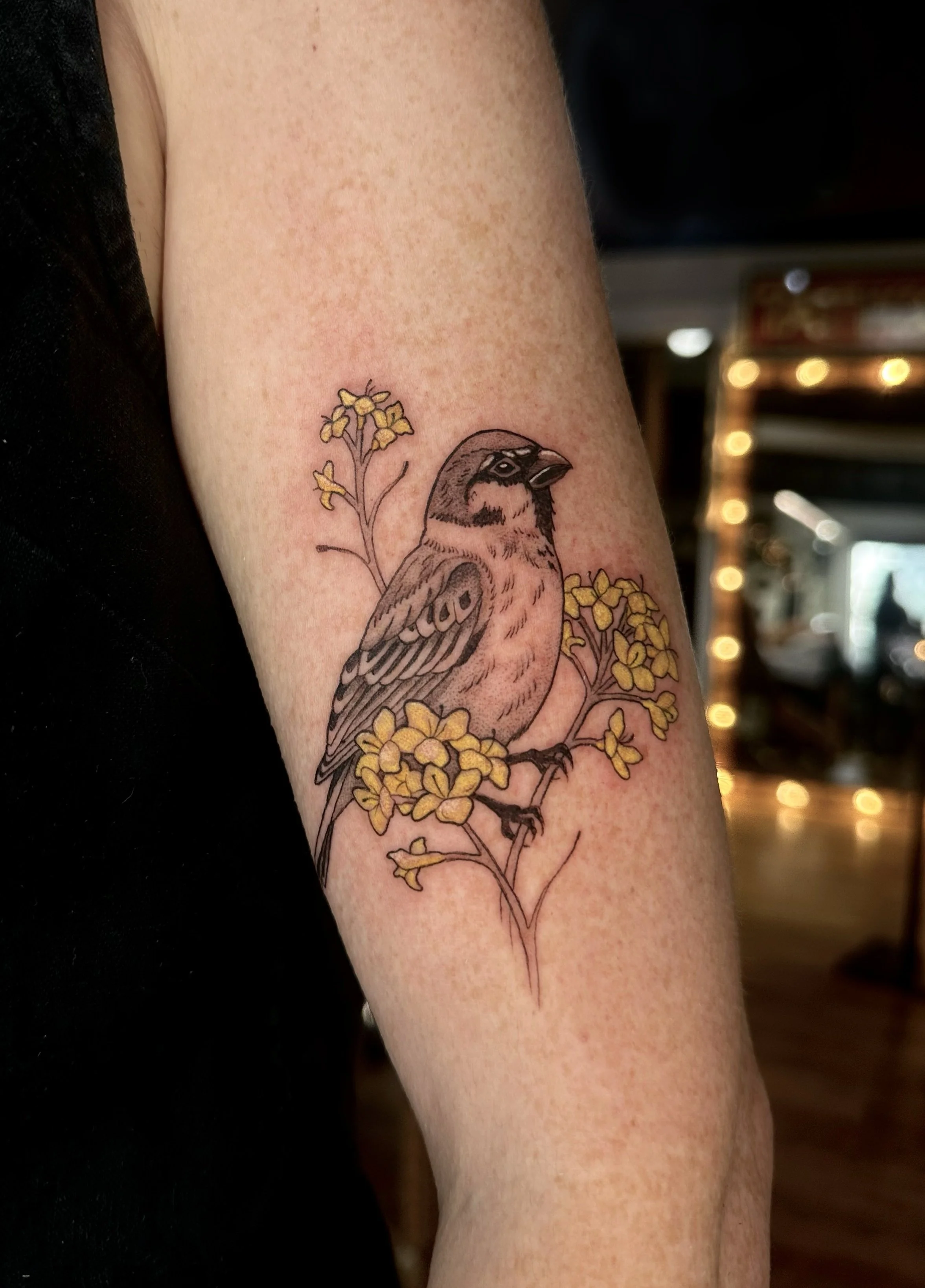 BeckyWaterhouse_Tattoo_Eurasian-Sparrow_IMG_0445.jpg