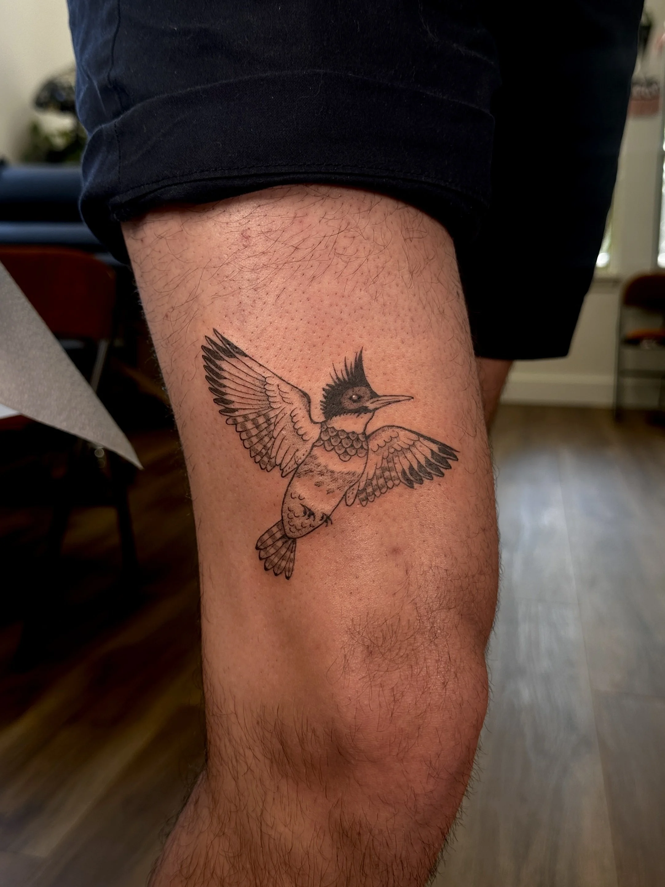 BeckyWaterhouse_Tattoo_Belted-Kingfisher_IMG_0921.jpg