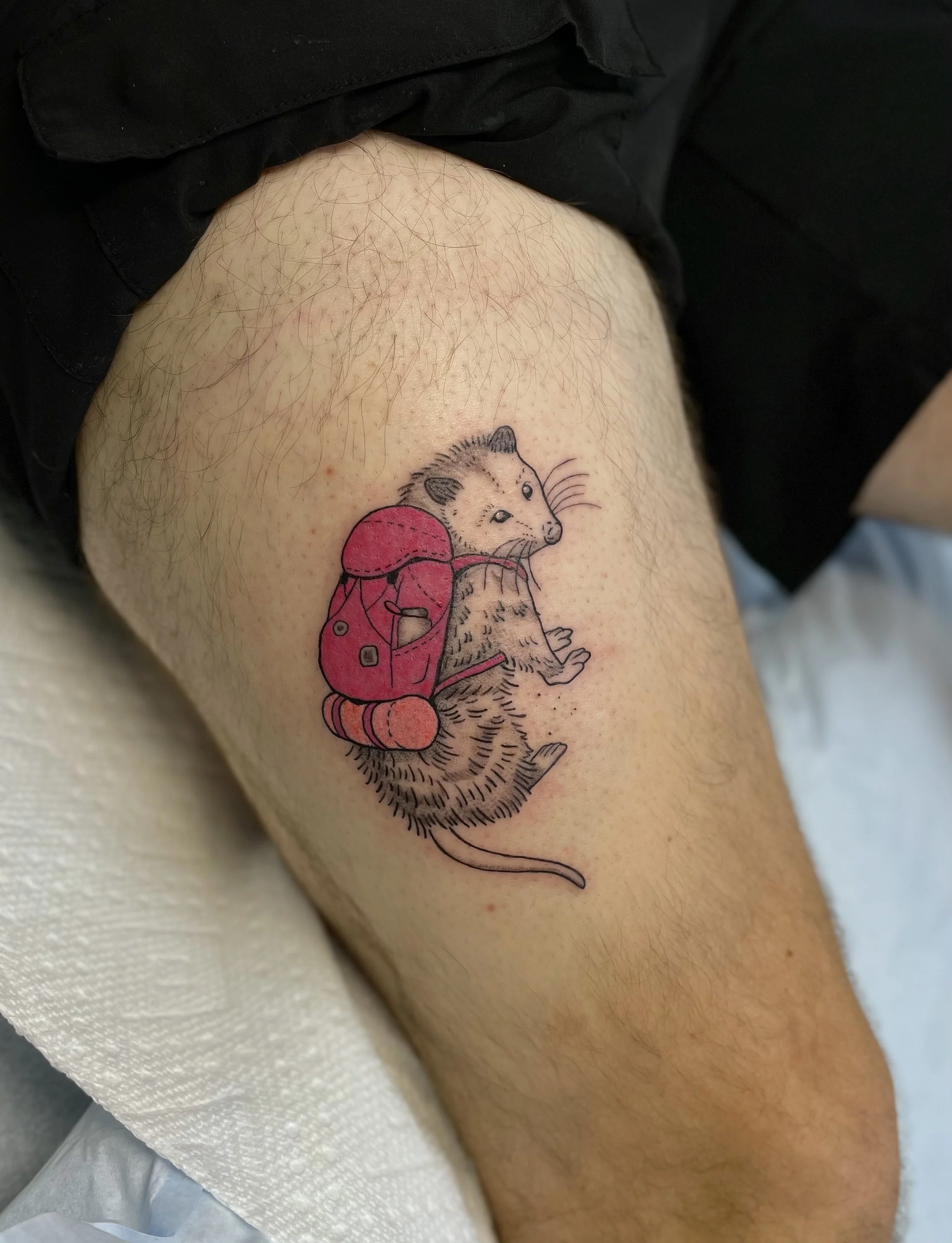 BeckyWaterhouse_Tattoo_Opossum_Backpacking_IMG_1213.jpeg