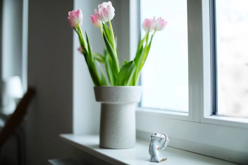 PODCAST : top 5 movies about starting over