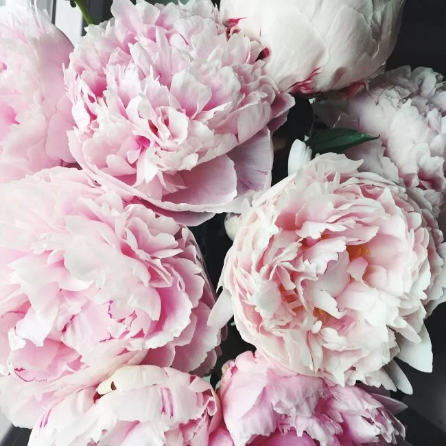 CELEBRATING MIDSUMMER LIKE A SWEDE | podcast