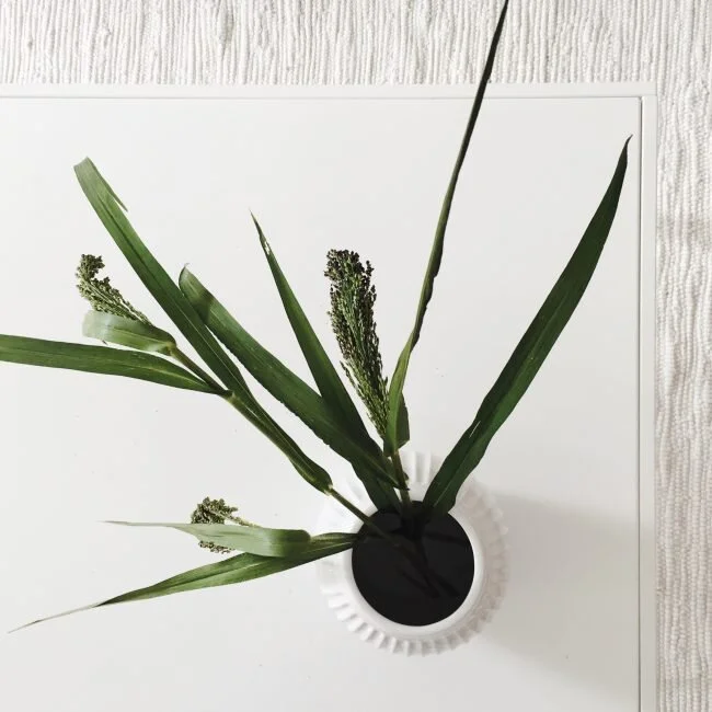 VIDEO GAMES WTF ? | podcast