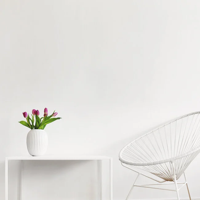 15 WEIRD SIGNS YOU'RE A MINIMALIST !