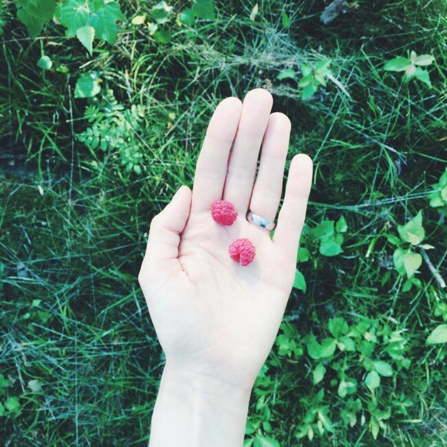 THE MONTHLIES : august