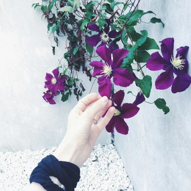 GOING PLACES : rosendal's garden in stockholm