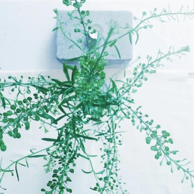 ETC : release party for NEW VEGAN