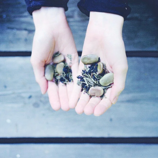 3 THINGS : food fun facts