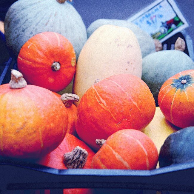 GOING PLACES : eating the tastiest treat at the farmers market