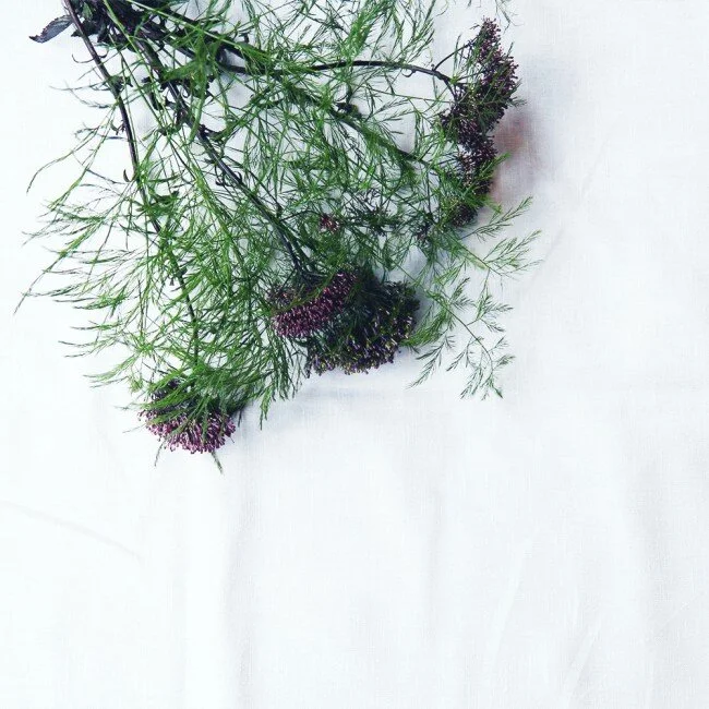 COLUMN : the importance of sadness