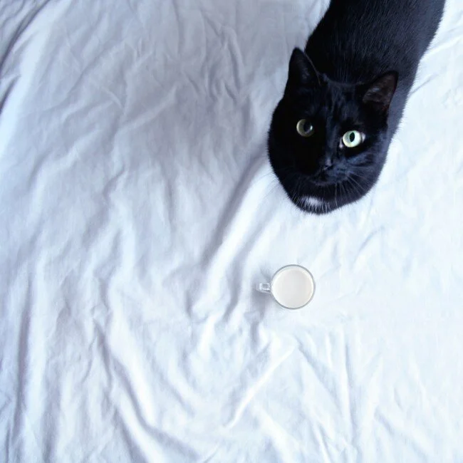 COLUMN : winter in sweden - a love hate story