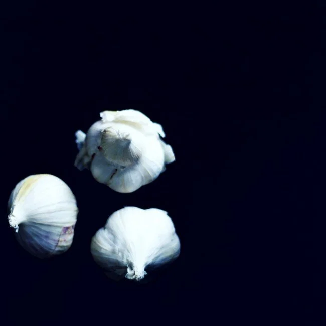 THE MONTHLIES : february