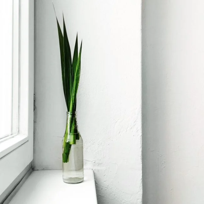 3 THINGS : budget minimalist home decor tips