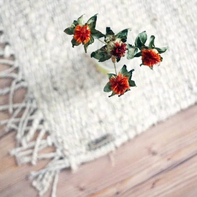 COLUMN : my 3 months with a home | not a nomad anymore