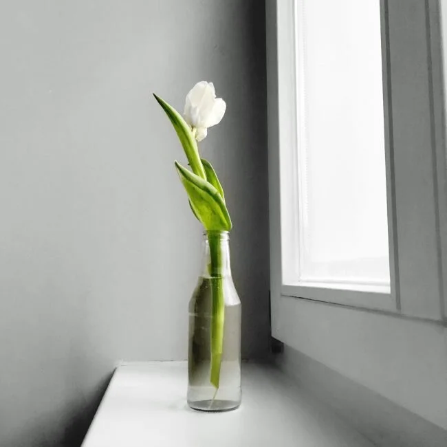 PODCAST : if you liked the shawshank redemption, you'll love...