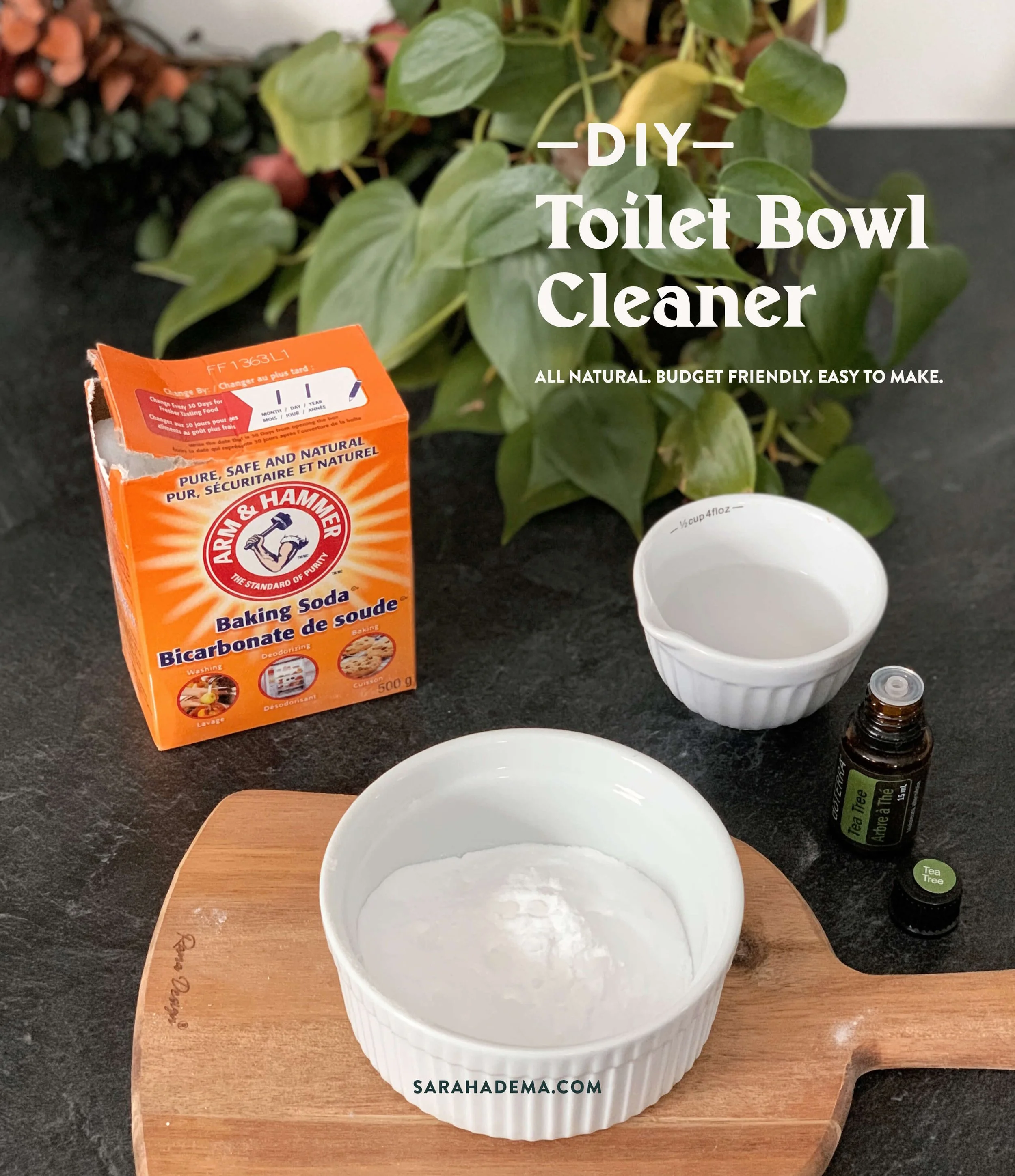 DIY All Natural Toilet Bowl Cleaner. All Natural, budget friendly and easy to make.