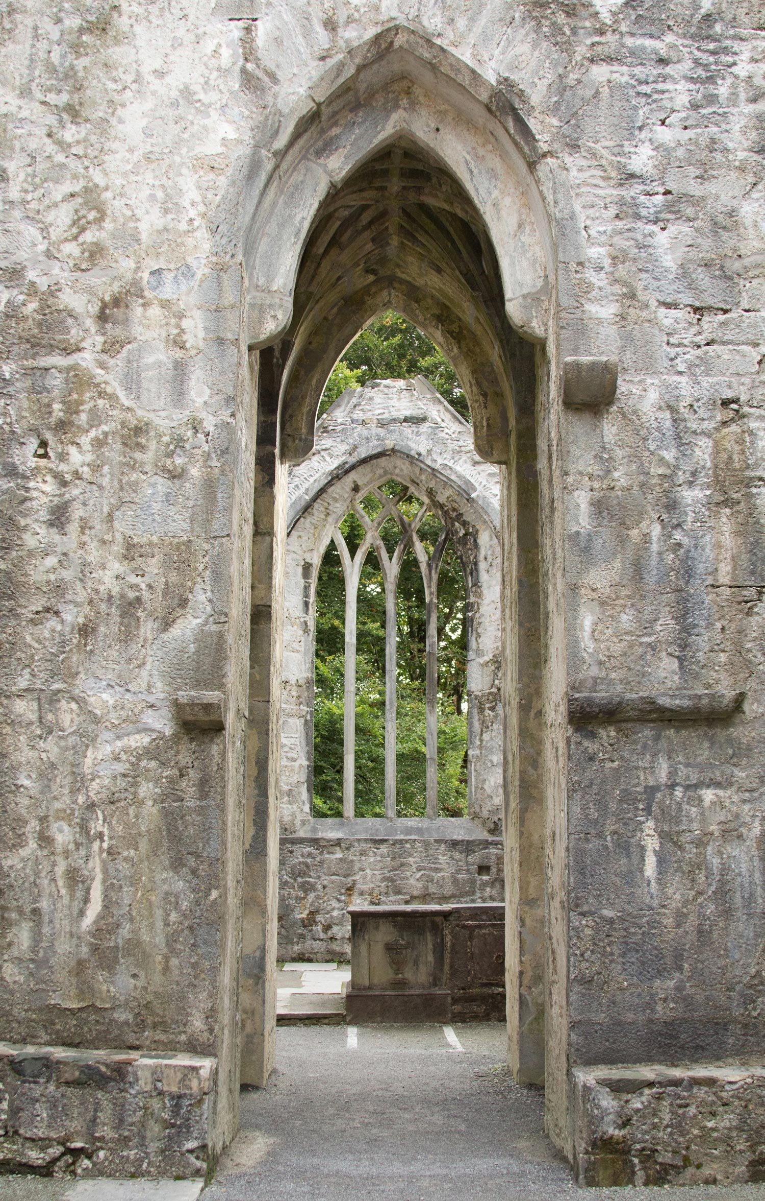 whole-widen-world-muckross-abbey.jpg