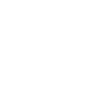 Whole Widen World