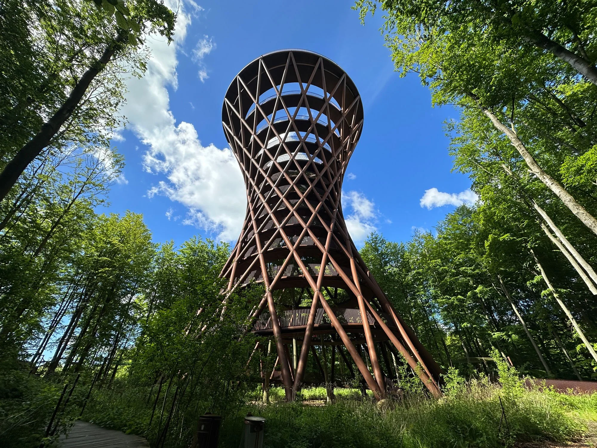 A tower in the forest